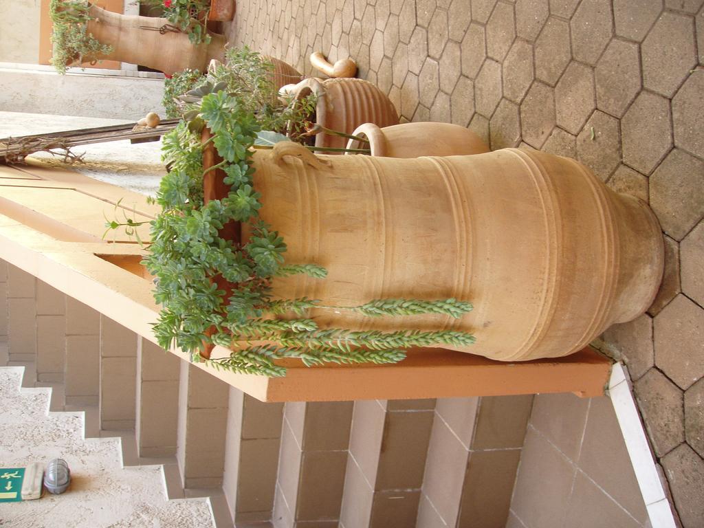Aris Apartments Gerani  Bagian luar foto